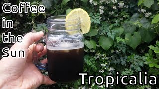 Video Series - Coffee in the Sun: Tropicalia