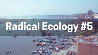 Notes on a Radical Ecology #5: Conclusion, Criticisms & Reflections