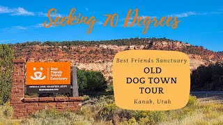 A Tour of Old Dog Town at Best Friends Animal Sanctuary