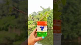 DIY TRICOLOR TREE PLANTER🇮🇳/#independenceday #craft #diy #tricolour @crafterdebika