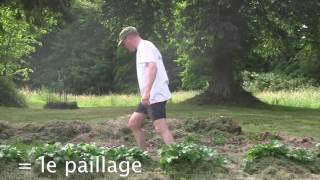 Paillage du potager avec la tonte des pelouses