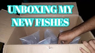 Unboxing my new fishes