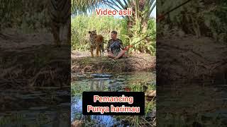 video asli bukan editan # pemancing kereen