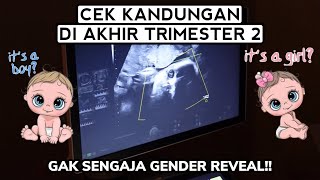 CEK KANDUNGAN AKHIR TRIMESTER 2 GAK SENGAJA GENDER REVEAL