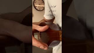 اجرای قسمتی از آهنگ ابر میبارد همایون شجریان با سه تار نوازنده و‌سازنده سه تار هاتف‌ملکشاهی