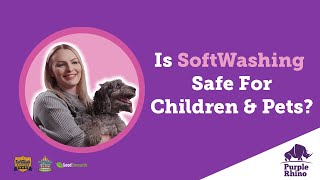 Is SoftWashing Safe For Children & Pets? - (purple-rhino-co-uk, 01233 550100)