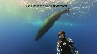 I said hello to a whale underwater 💙