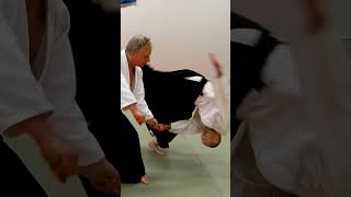 Aikido techniques with a JO (staff), JO NO TEBIKI, by Stefan Stenudd