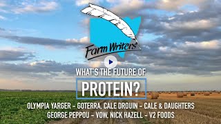 Labs, insects and plants – what’s the future of protein?