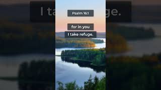 Protect me, O God, for in you I take refuge.