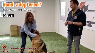 Hond adopteren deel 6 - wat kost een adoptie hond?