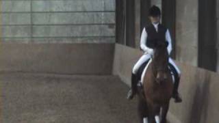 Dressage Considered The Ballet Of The Horse World