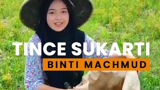 Tince Sukarti binti Mahmud (Original illustration Version)