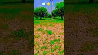 माँ  तुझे सलाम 🖖 #villagelife ##shortvideo #naturelovers #shortfeed ##kisan #gaav #trending #shorts