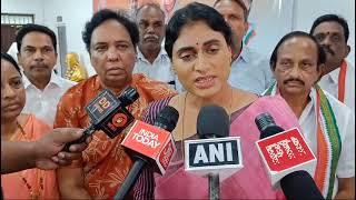 YS Sharmila sensational comments on YS jagan