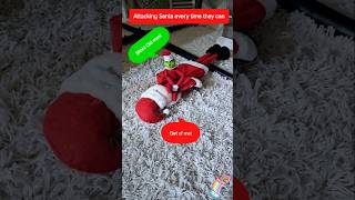 #grinch #elfonashelf #toys #doll #santa #christmas #xmas #slothmotion #tricks #prank #fun #elf #toy