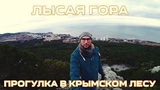 Прогулка в Крымском лесу