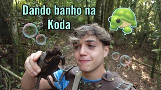 Dando banho na Koda 🐢✨