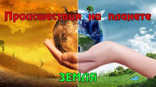 Происшествия сегодня 13.03.2024