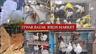 BIRDS MARKET IN ISLAMABAD|Cheapest price birds market| Birds market