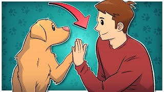 Top 10 Signs Your Dog Trusts You Blindly | 10 Signs Your Dog Trusts You Completely