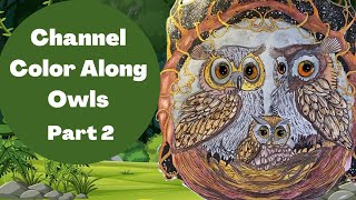 Color Along in Little Woods : Channel Color Along Part 2 - Final #owlsinoctober2023