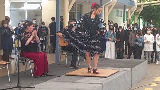 Colegio San Rafael Presentación Flamenco 5/8