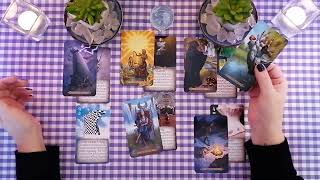 ♒️ Waterman • Week Reading • Tijdloos • De Finale Aanval!! • Tarot Reading 2024