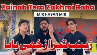 21 ramzan whatsapp status noha | Zainab Tera Zakhmi Baba | Mir Hasan Mir | Haram E mola ali as Najaf