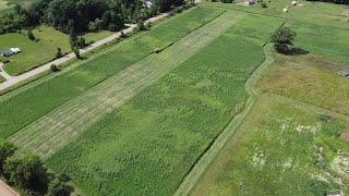 First Cutting of the new hayfield. And more Problems with the Hesston....