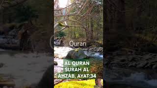 AL QURAN URDU REACTIONS #NATURE #qurantranslationinurdu #motivation #sortvidio