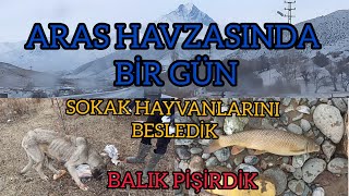 Aras Nehri Havzasında Yaban Hayatı - Sokak Hayvanlarını Besledik - Balık Pişirdik