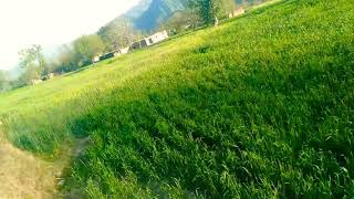 LARGE FIELD IN JAMMU AND KASHMIR||JK VLOG DESI|JKVD