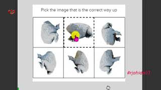 What animal is shown in the image below / Pick the image that is the correct way up h/Fun Captcha