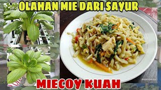 MIE GORENG PAK COY || MIE HIJAU HIDROPONIK