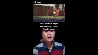 Bocah ini Kaget Melihat Rumah Pohon Bergerak🐹🦊🦡| Tiktok Irawan Usman