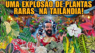 EUFORIA EXTREMA no MAIOR MERCADO de PLANTAS RARAS do MUNDO -  o CHATUCHAK PLANT MARKET