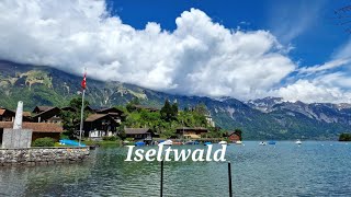 Iseltwald, Switzerland 🇨🇭 Walking Tour