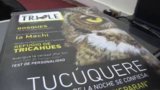 Lanzamiento revista Trile-2017