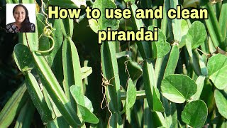 பிரண்டை சுத்தம் செய்வது எப்படி ? | How to clean Pirandai - Adamant creeper