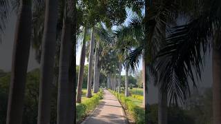 Best couple park in Delhi full information ℹ️ #delhi #vlog #india #travel #popular #trinding #city