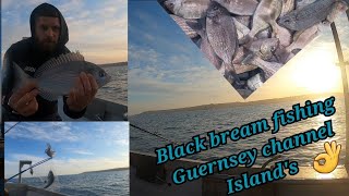 BOAT FISHING FOR BLACK BREAM  In the channel island of Guernsey