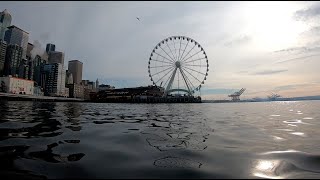 Seattle Aquarium Pier Freediving Cleanup