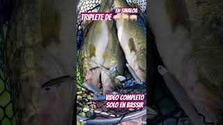 3 lobinas Grandes en un Señuelo #alabamarig #sinaloa #triplete #Tres #pescadelobina #lobina #pesca