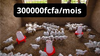 2024 Commence avec 50000 et gagne 300000 fcfa avec l'élevage des poules