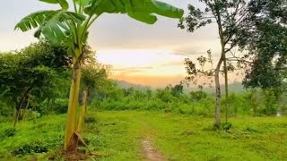 Beautiful nature view || Sukoon🥺 || New butiful nature #nature #youtubeshorts #viralvideo  #trending