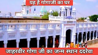 गोगा जी का जन्म स्थान ददरेवा | Gogaji Janam sthan dadrewa | gogaji dham Dadrewa total information 🙏