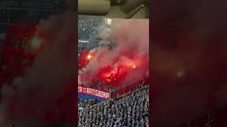 PYRO - FC Schalke 04 - Jahn Regensburg 10.11.24 #pyro