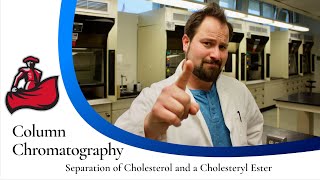 Column Chromatography of Cholesterol and a Cholesteryl Ester