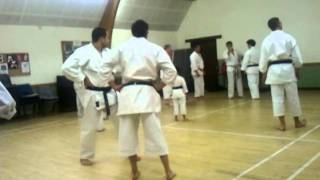 Goju Karate Training I - Empi Uchi Wazas (elbow strikes techniques)